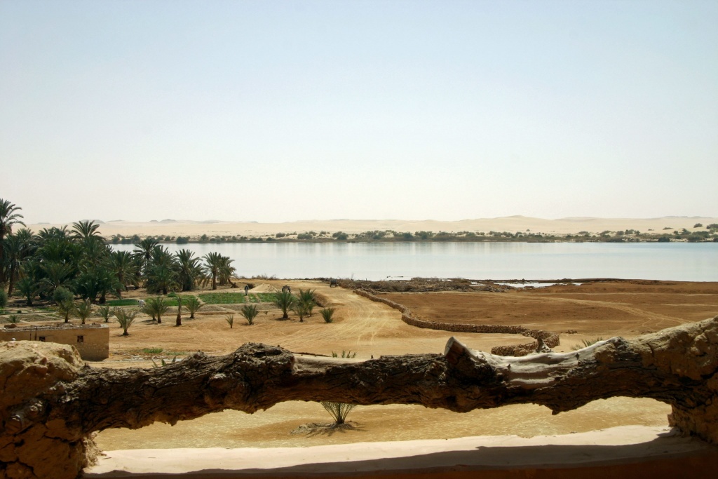 From the Adrere Amellal ecolodge, there is a beautiful view of the large lake and the palm grove. Unfortunately, groundwater is no longer sufficient and salt water from agricultural drainage is increasing, which has already caused the destruction of many palm trees.