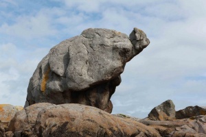 Chausey - rocher éléphant