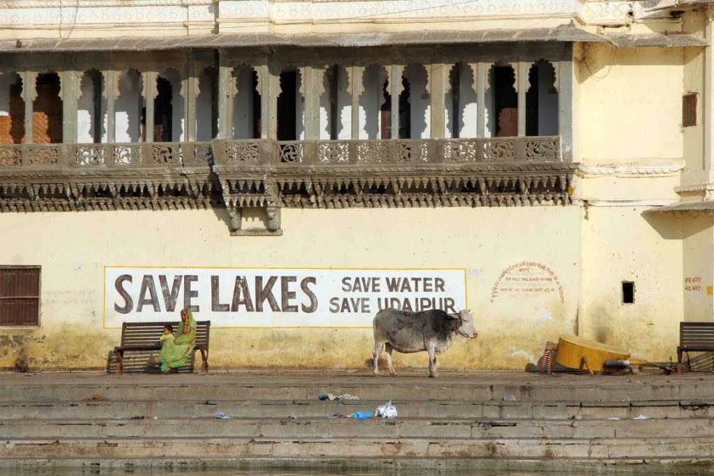 Seul bémol, la pollution du lac Pichola. «Économisez l'eau, sauvez nos lacs, plaident les affiches de l'Udaipur Lake Conservation Society. Cependant, un gros travail reste à faire…