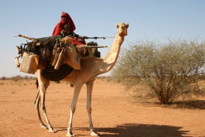 The Bisharin nomads live in small, isolated groups and travel by camel.