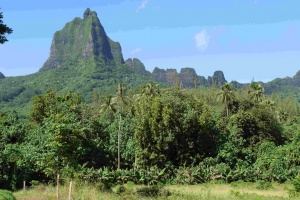 Mont Mouaroa is the third highest peak on Moorea, reaching an altitude of 880 metres. It is also known as Mont Bali Hai.