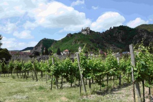 Vignoble et ruines de la forteresse de Dürnstein.