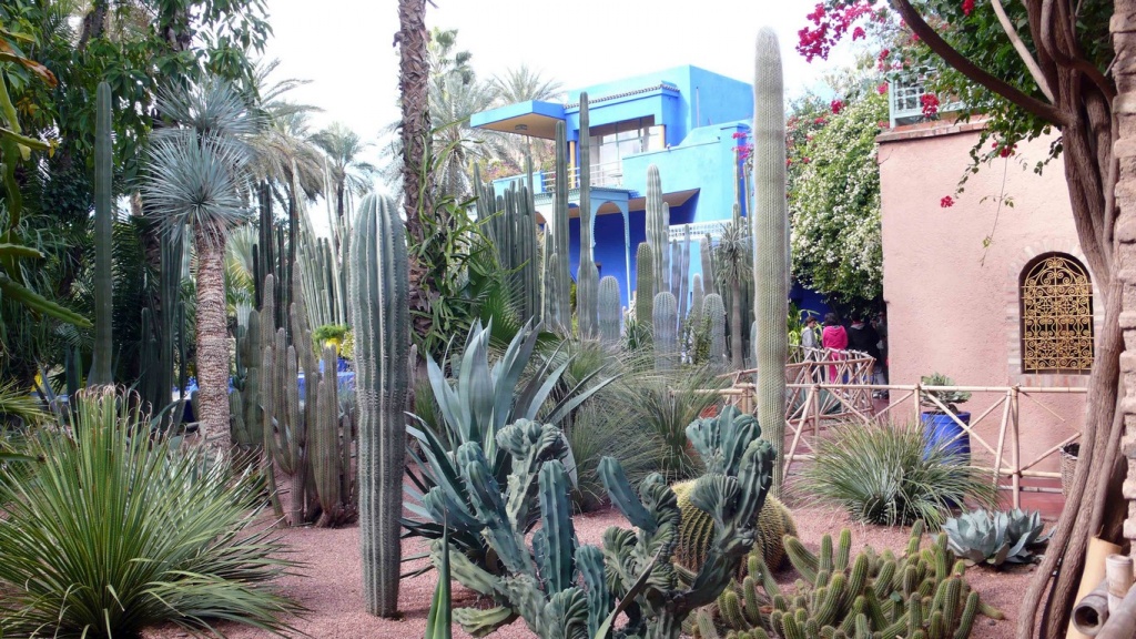The villa seen from the cactus garden.