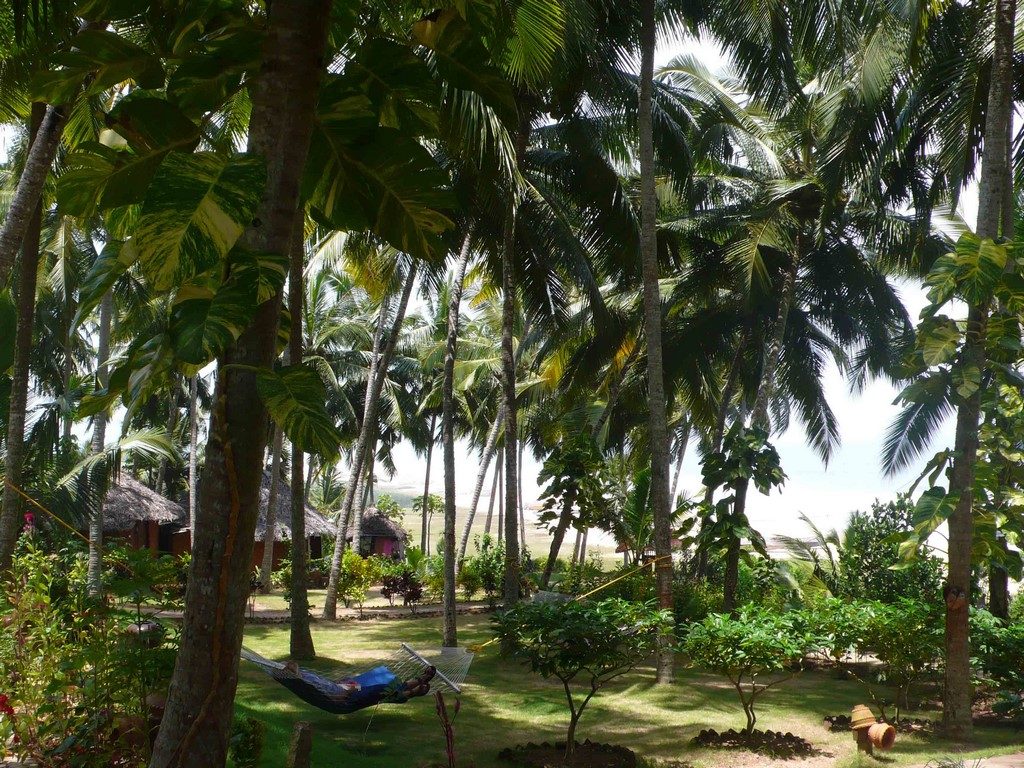 Bungalows et villas sont disséminés dans un superbe jardin tropical surplombant l’océan.