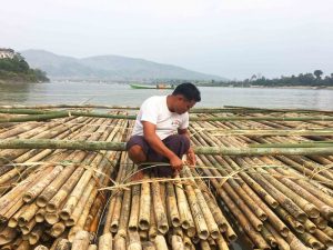 Les bambous sont assemblés en radeaux géants avant d’être convoyés par le fleuve.