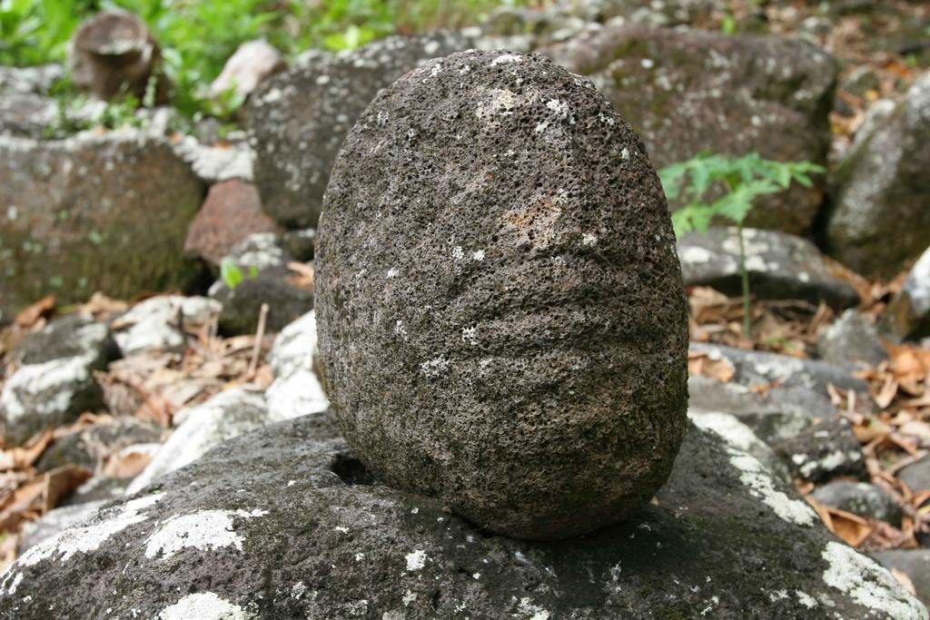  Underneath the altar stone is a rounded, irregular head carved from black, porous volcanic stone. This head is considered to be tapu. 