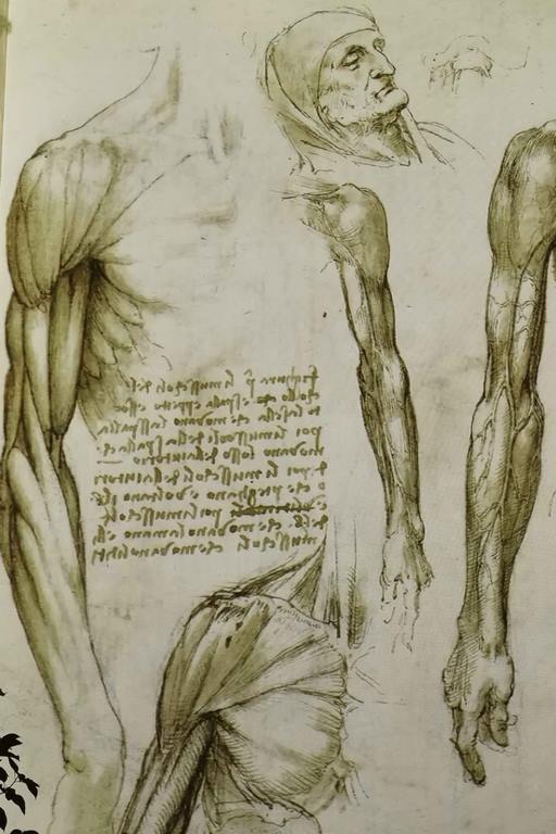 Pour protéger ses écrits des regards indiscrets, Léonard de Vinci pratiquait l’écriture spéculaire, appelée plus communément « écriture en miroir », car il fallait un miroir pour lire ses manuscrits.