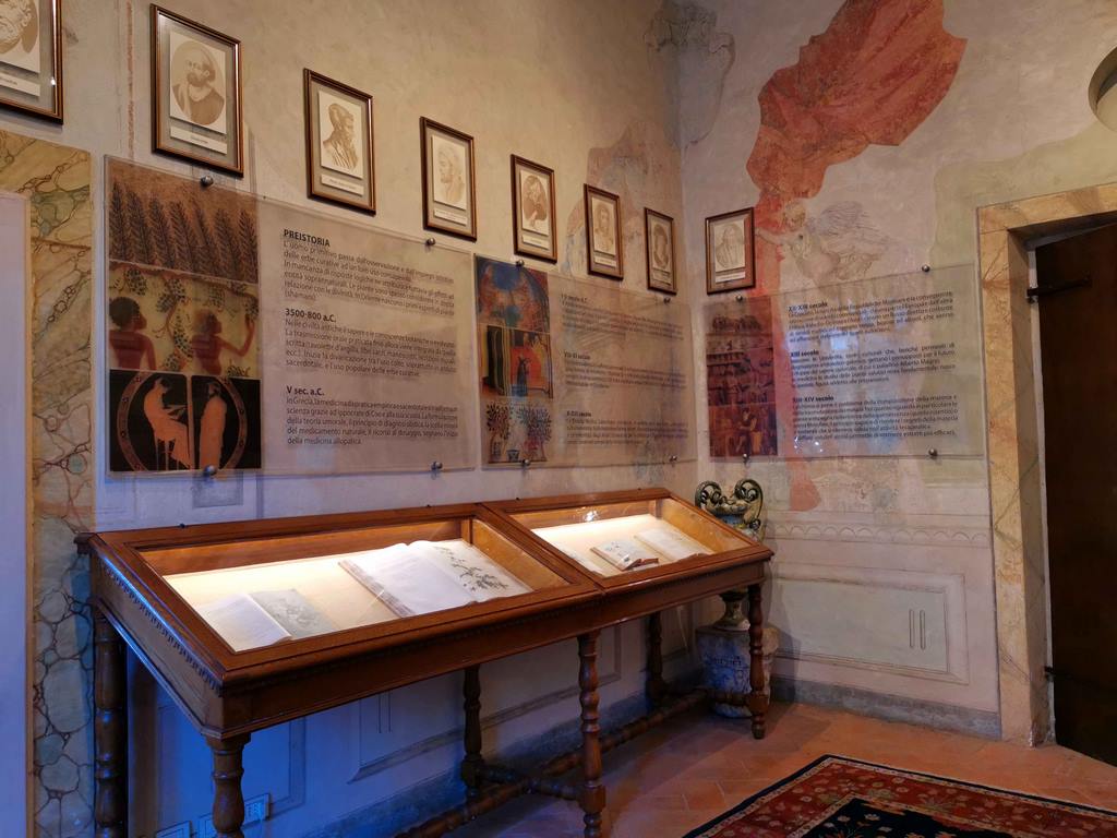 The next room, called the History Room, is dedicated to herbariums and texts that represent the sum of knowledge from the past. 