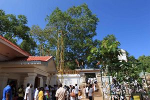 Sri Lanka. Anuradhapura - Sri Maha Bodi. Une pousse provenant de l’arbre sous lequel Bouddha reçut l’illumination fut ramenée d’Inde au IIIe siècle av. J.-C. par Sanghamitta. Elle fut plantée ici et donna l’arbre qui se tient devant vous. Cet arbre Bo (ou arbre de la Bodhi), le plus sacré de tous, est considéré comme le plus vieux du monde. Il est visité chaque jour par des centaines de pèlerins.