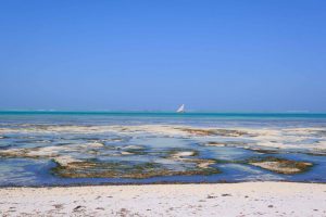 Zanzibar. Hôtel Zawadi. Comme très souvent à Zanzibar, l’eau se retire au-delà de la barrière de corail, dévoilant des étendues sableuses irisées de reflets bleu argent.