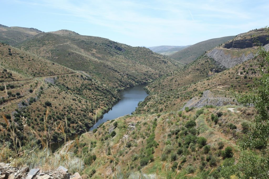 Portugal. On the banks of the River Côa.