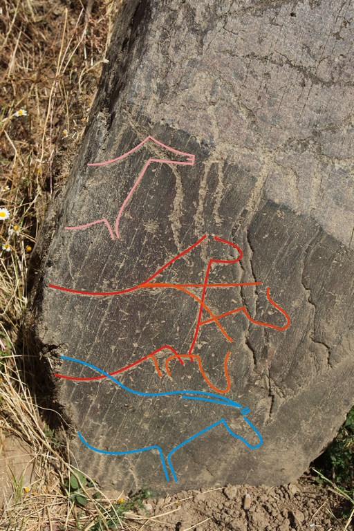 Portugal. Côa Valley Archaeological Park. Rock no. 4 of Penascosa. Probable mating scene depicting two equids. The male is shown in three positions with a descending movement of the head (in red and orange on the sketch). Sketch © L. Luis, Parque Arqueológico do Vale do Côa.