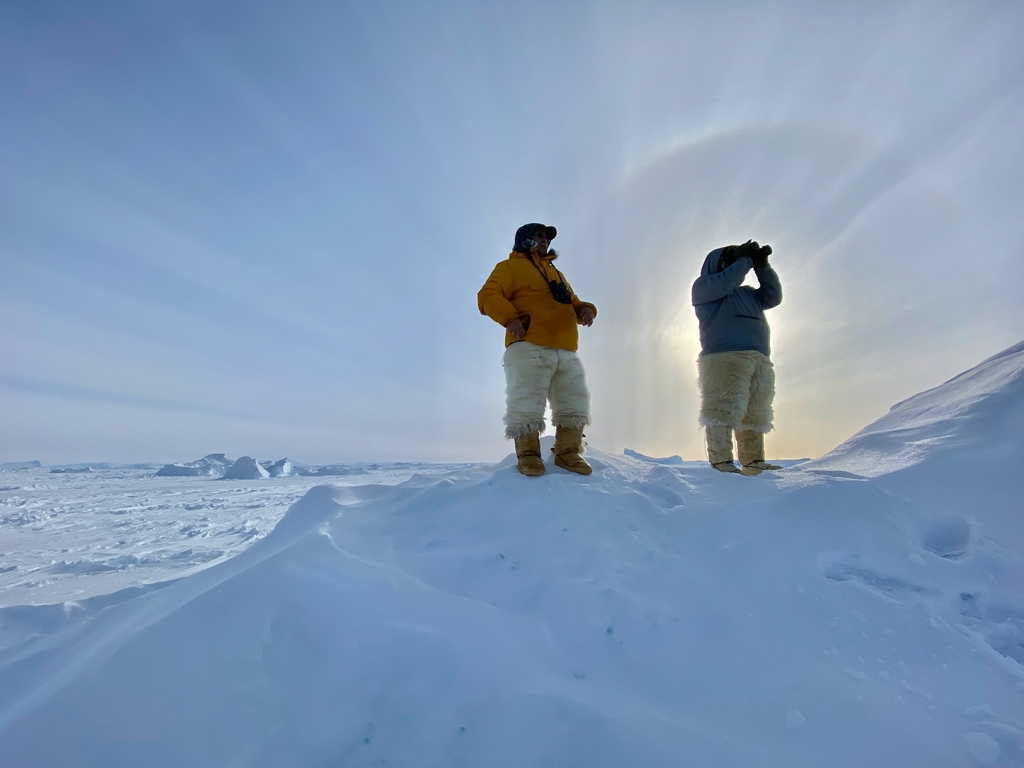 Groenland. Recherche de l'ours depuis le haut d'un iceberg.