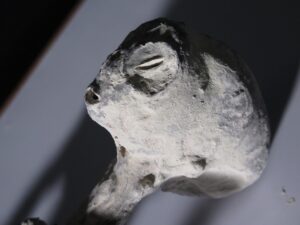 Nazca. Mummified "petit gris" head
