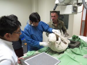 Nazca mummy. Installation of the Maria mummy for tomography.