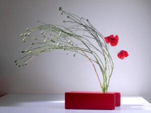 Ikebana. Ecole Sogetsu. Style moribana. Fleurs et tiges de coquelicots.