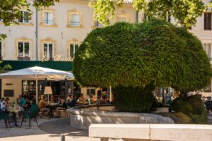 Mossy fountain in Salon-de-Provence. Limestone concretions, then moss and vegetation have developed, giving it the shape of a mushroom.