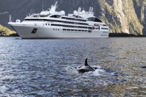 New Zealand. A dolphin frolics on the port side of the Soléal. Studio Ponant.