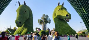 Dubaï. Miracle garden. Deux têtes de chevaux surgissent du sol, tels des gardiens de ce jardin hors du temps. B. Postel.
