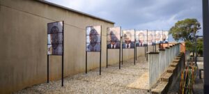 Afrique du Sud. Johannesburg. Dans l'enceinte du Musée de l'Apartheid, la série de portraits de Nelson Mandela a été réalisée par Reshada Crouse. Elle dépeint Mandela vieillissant et sa transformation d'homme ordinaire en icône. B. Postel.