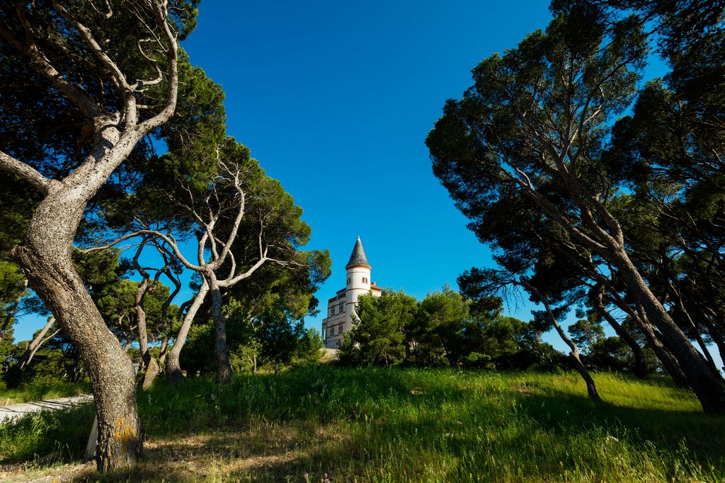 Occitanie. Au cœur d’un paysage de pins tortueux et de vignoble, se dresse la silhouette élégante du Château Capitoul. © Aspheries.