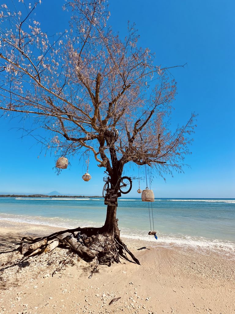 Indonesia. When nature becomes a work of art on a deserted beach. de Gili Air.