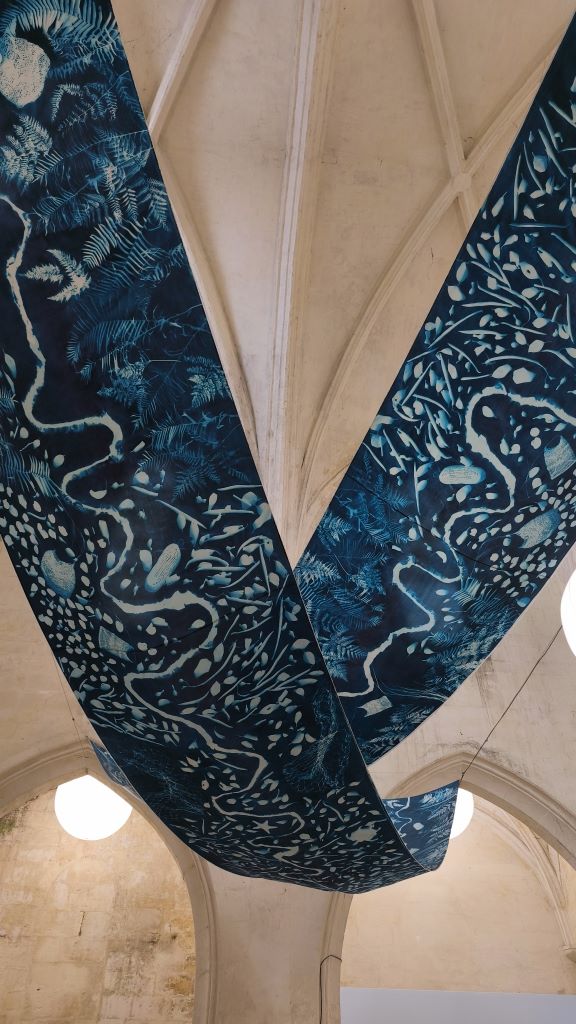 France. 56th Rencontres de la photographie d'Arles 2025. Cyanotype by Sonja Carmichael and Elisa Jane Carmichael (Ngugi/Quandamooka). B. Postel.