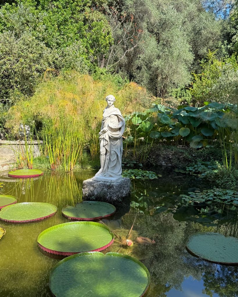 France. Menton. Jardin Serre de la Madone.  At the foot of the Madonna, you can admire the superb Victoria regia water lilies.