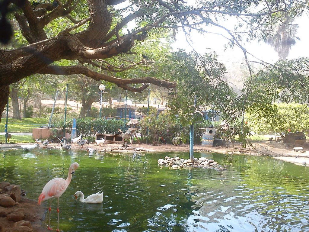 Maroc. Un moment de fraïcheur au Jardin des Oiseaux d'Agadir. Nasreddine7/Commons.