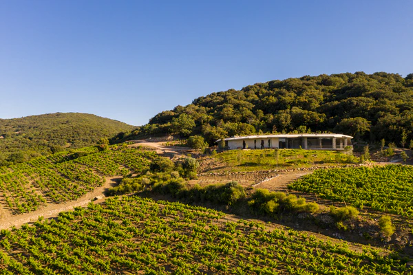 France. Domaine Gérard Bertrand. Clos du Temple, voted three times best rosé in the world. Hype-Movies.