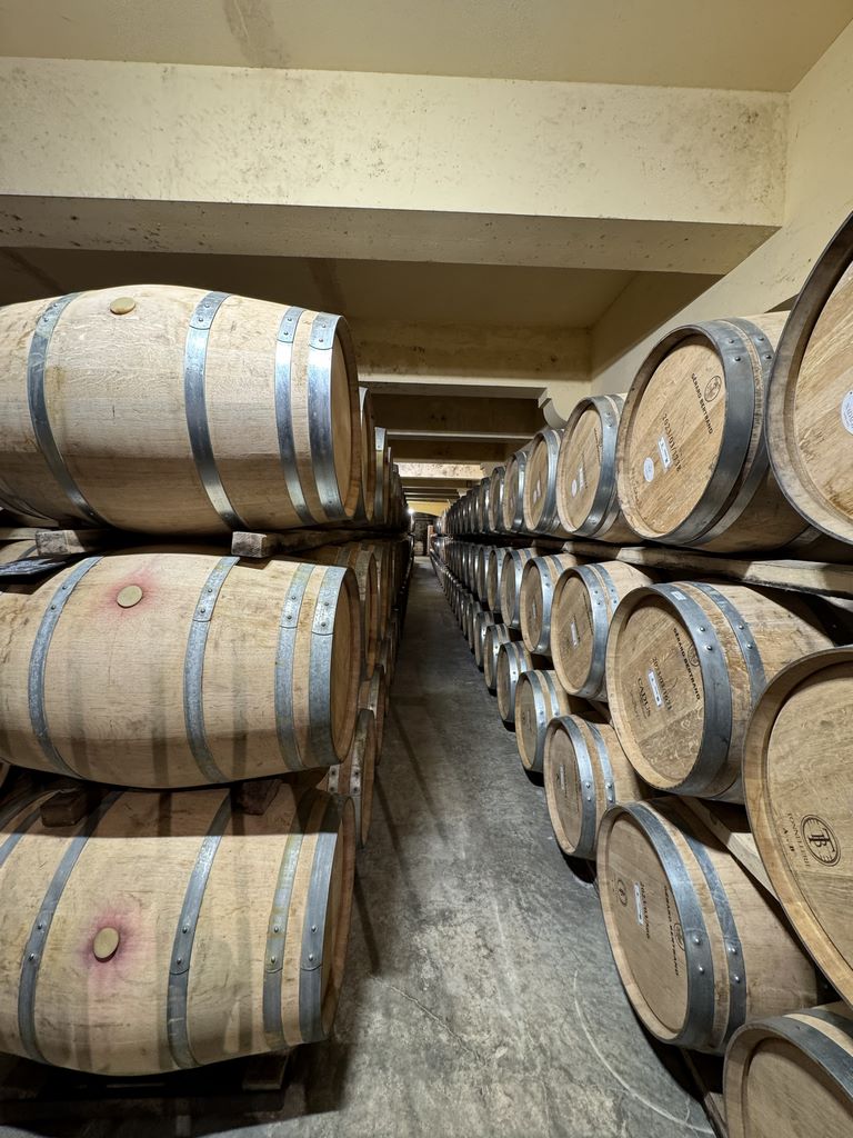 France. The Château L'hospitalet cellars bring together wines from around 1,000 hectares of vines in the Occitanie region, grown using natural methods, without pesticides or chemical fertilisers.