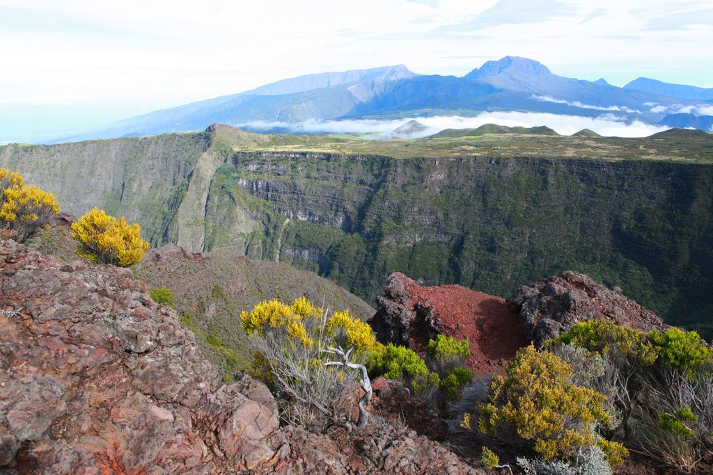 La Réunion. Depuis le cratère Commerson, on peut admirer la paroi de La Rivière des Remparts et au loin le massif du Piton des Neiges. Au premier plan, massifs de brandes vert, bruyère de la Réunion. B. Postel.
