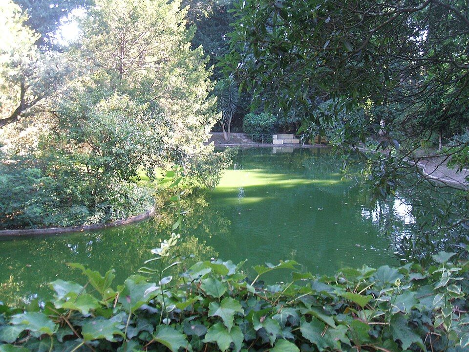 Portugal. Porto. Dans le parc de la villa Serralves, un joli bassin entouré de fougères et plantes aquatiques héberge une colonie de grenouilles. Julian Beckton/Commons.