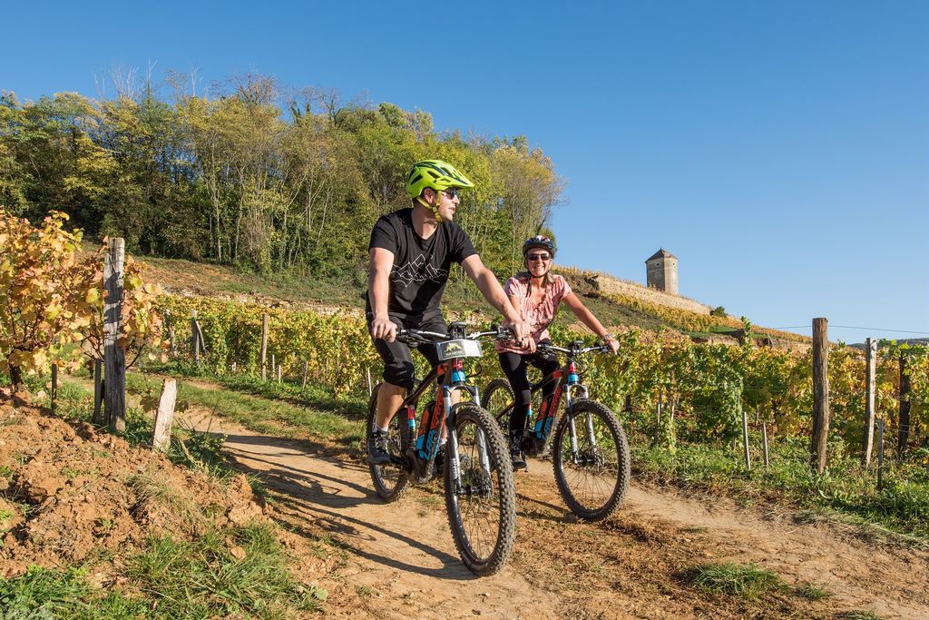 France. Pédaler dans les vignes, puis lever le verre après l'effort. © Nicolas Gascard.